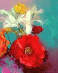 Mohn und Freunde, 2014